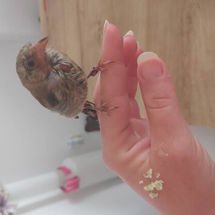 Foto de perfil de Veronica