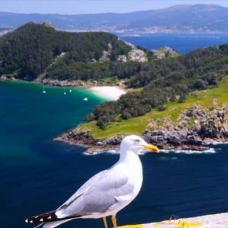 Foto de perfil de alvaro