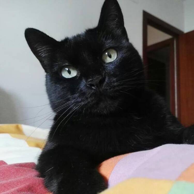 Foto de perfil de Gloria