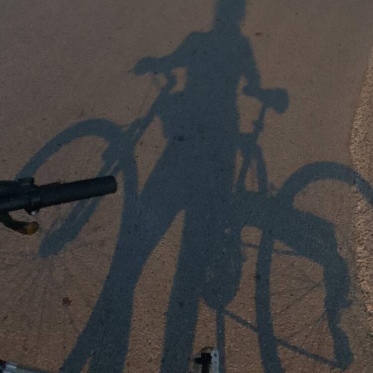 Foto de perfil de Cele