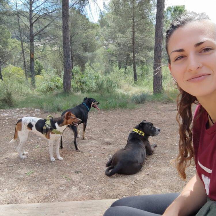 Foto de perfil de Mertxe