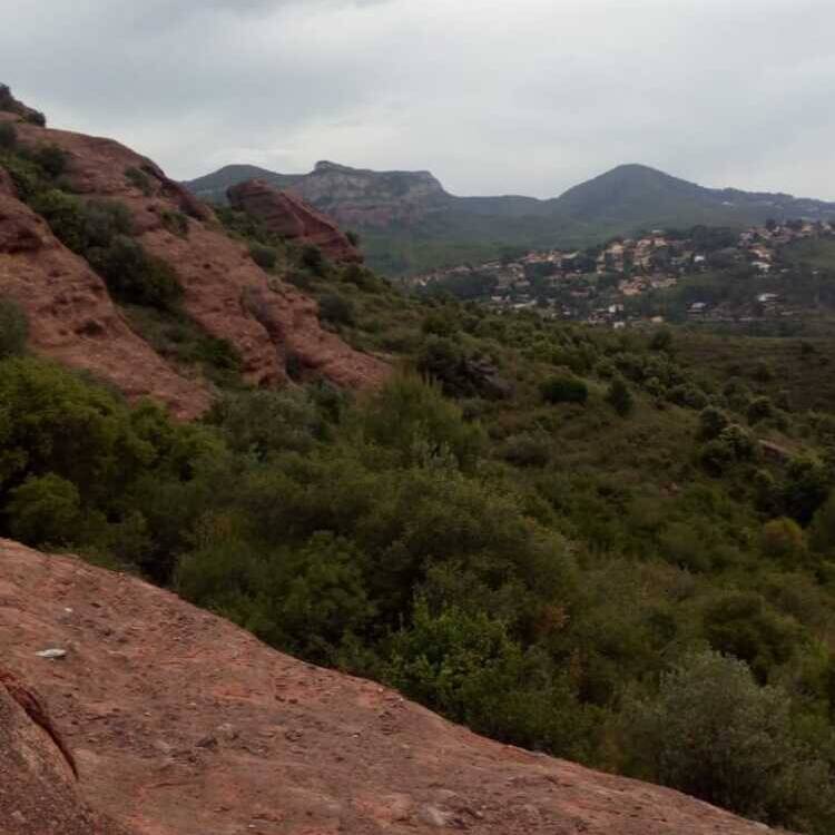 Foto de perfil de sureste