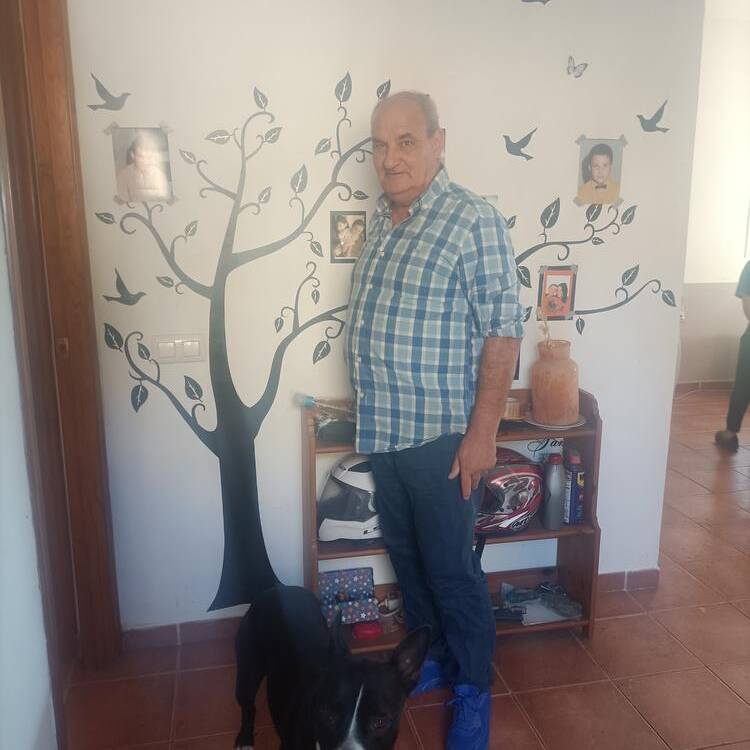 Foto de perfil de Jals