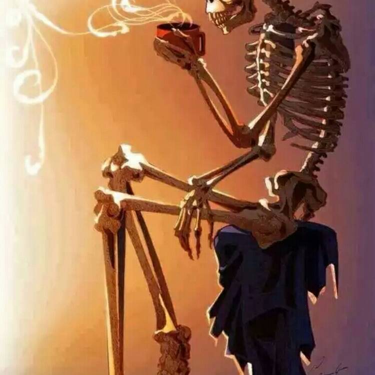 Foto de perfil de Buscaminos