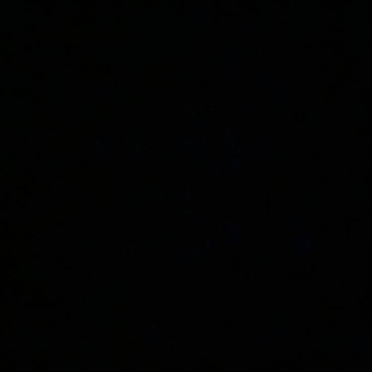 Foto de perfil de Nuria