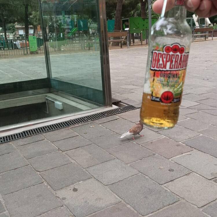 Foto de perfil de Alex