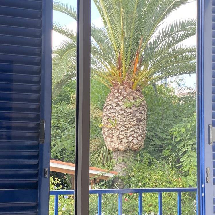Foto de perfil de Sofia