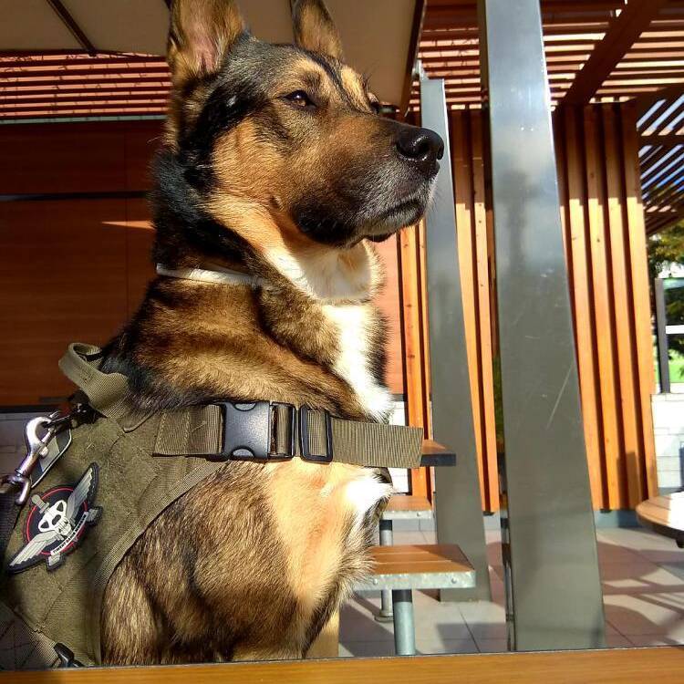 Foto de perfil de Operativo