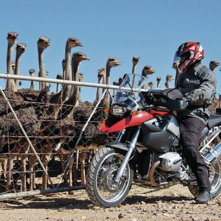 Foto de perfil de Jordi