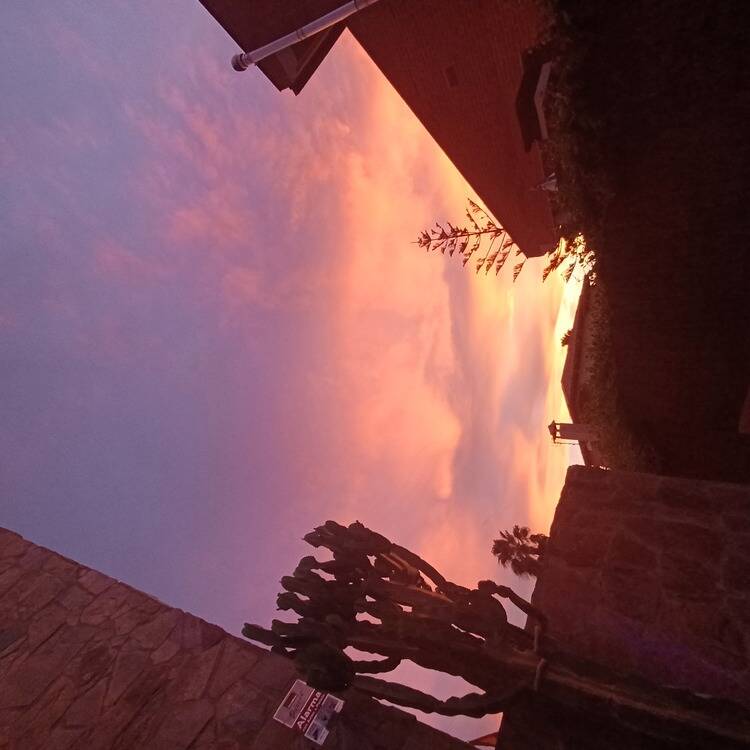 Foto de perfil de LeifFelix070