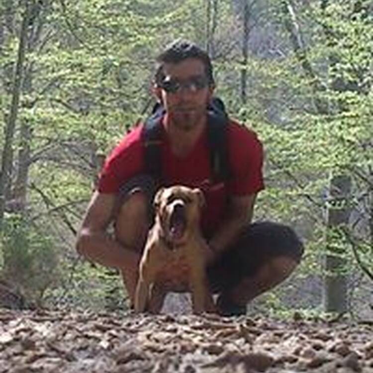 Foto de perfil de David Serrano Garcia