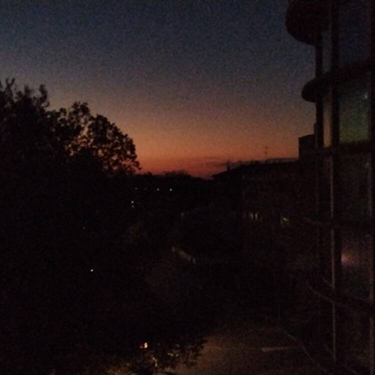 Foto de perfil de Joel