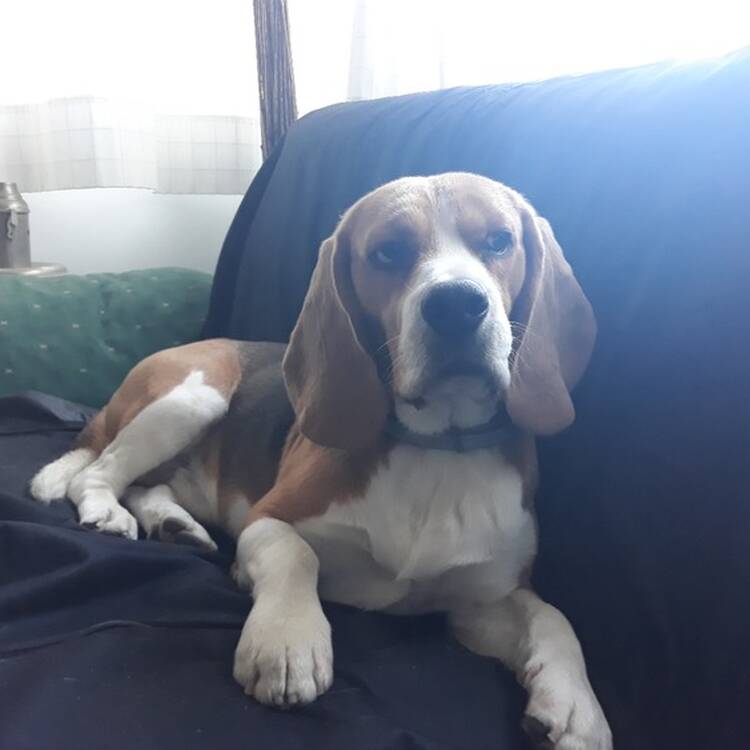 Foto de perfil de Abi