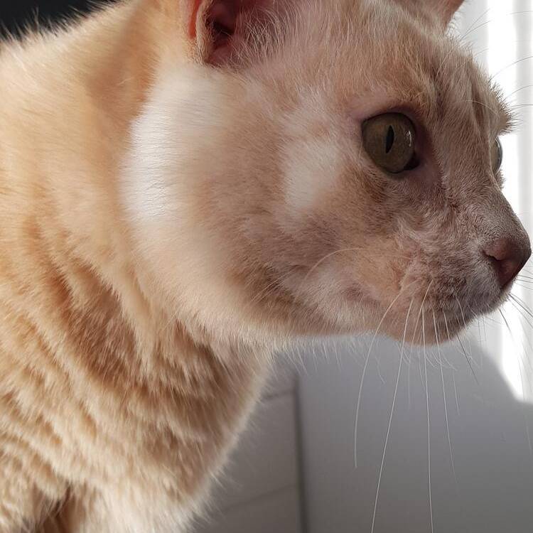 Foto de perfil de Roberto
