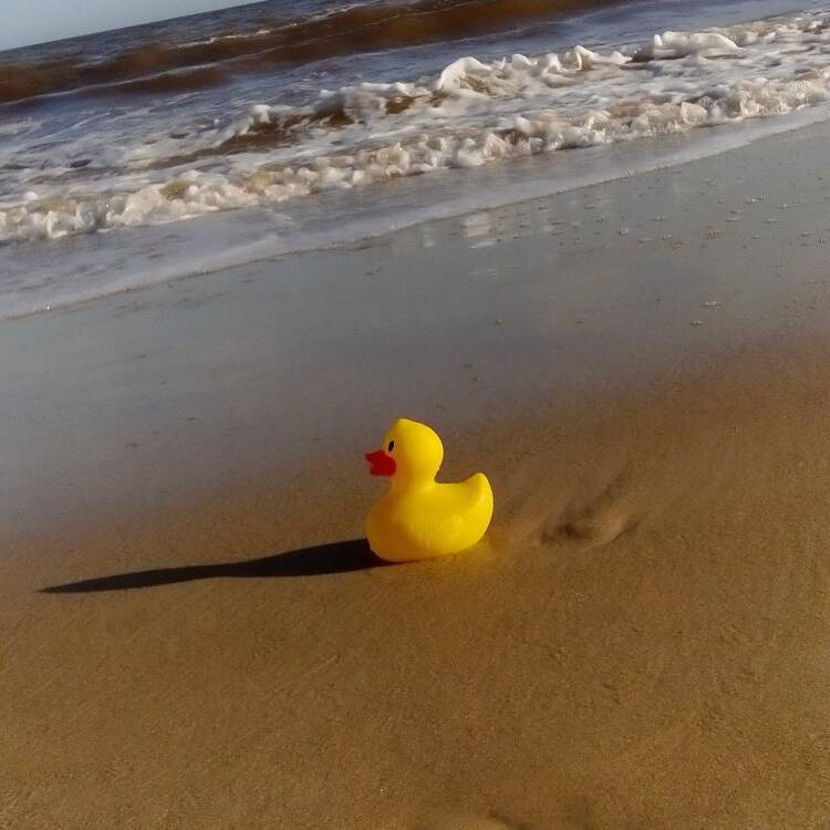 Foto de perfil de Mia
