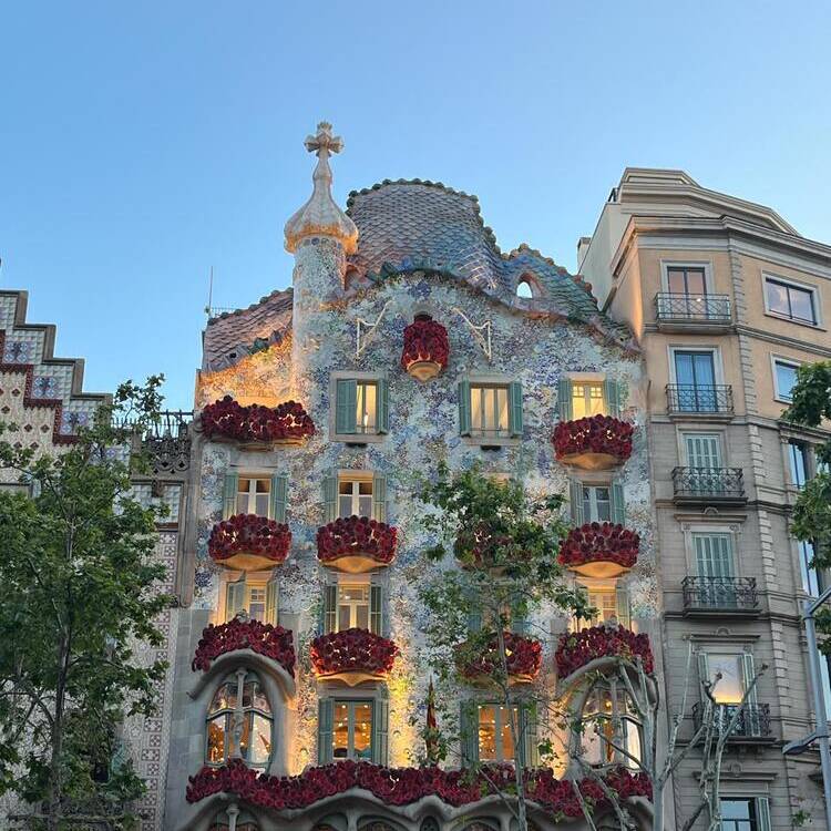 Foto de perfil de Aida