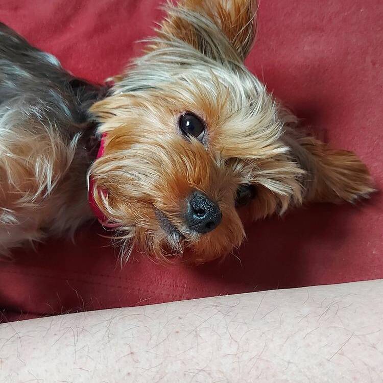 Foto de perfil de luis