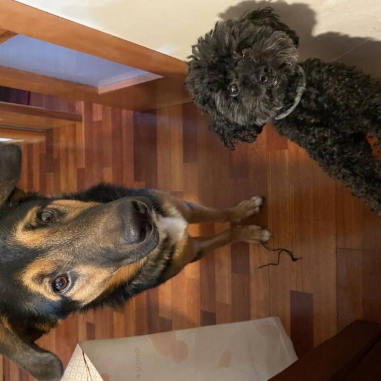 Foto de perfil de Claudia