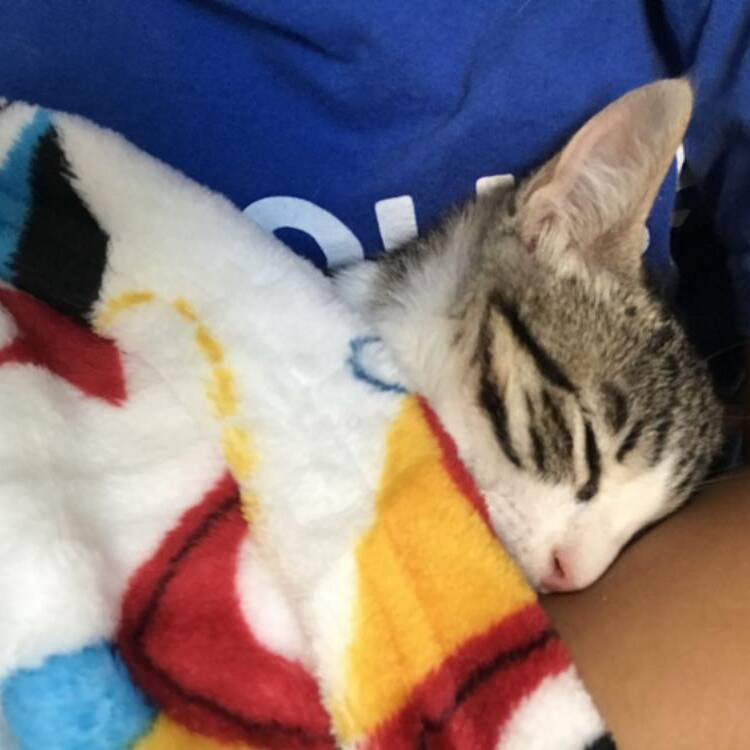 Foto de perfil de Yan