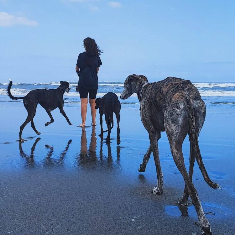 Foto de perfil de Anna