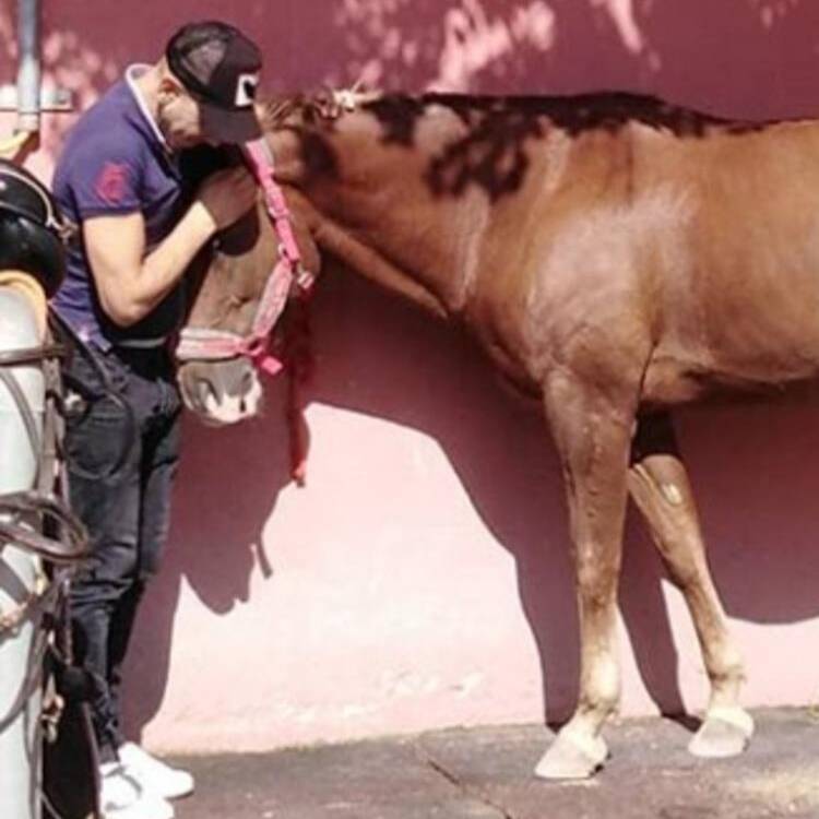 Foto de perfil