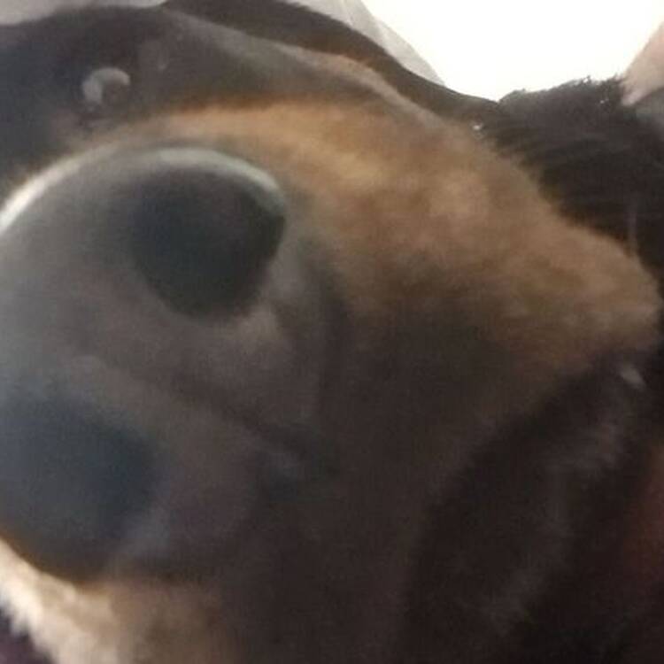 Foto de perfil de Gab