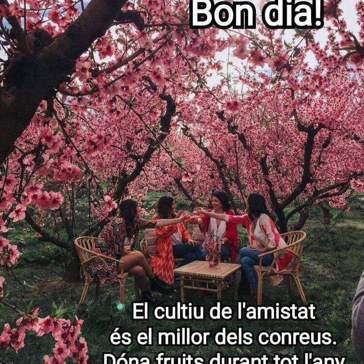 Foto de perfil de cris