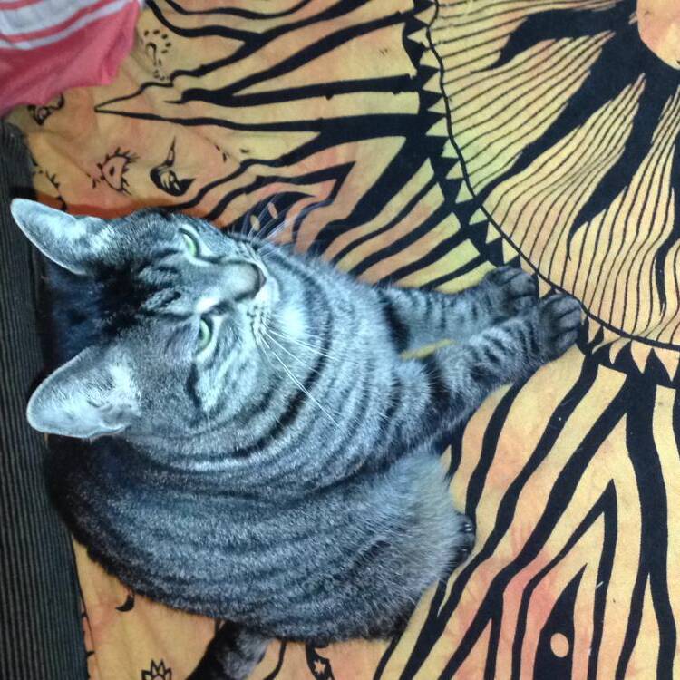 Foto de perfil de Juan