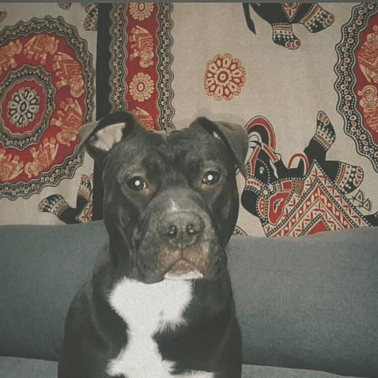 Foto de perfil de joel
