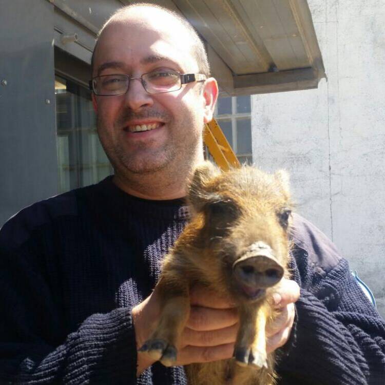 Foto de perfil de Pedromr78