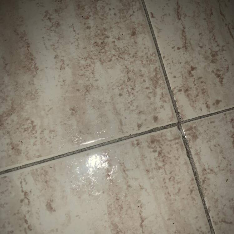 Foto de perfil de Patricia