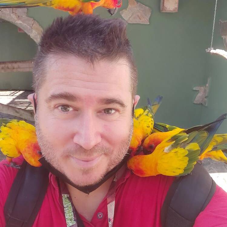 Foto de perfil de Ansaldi