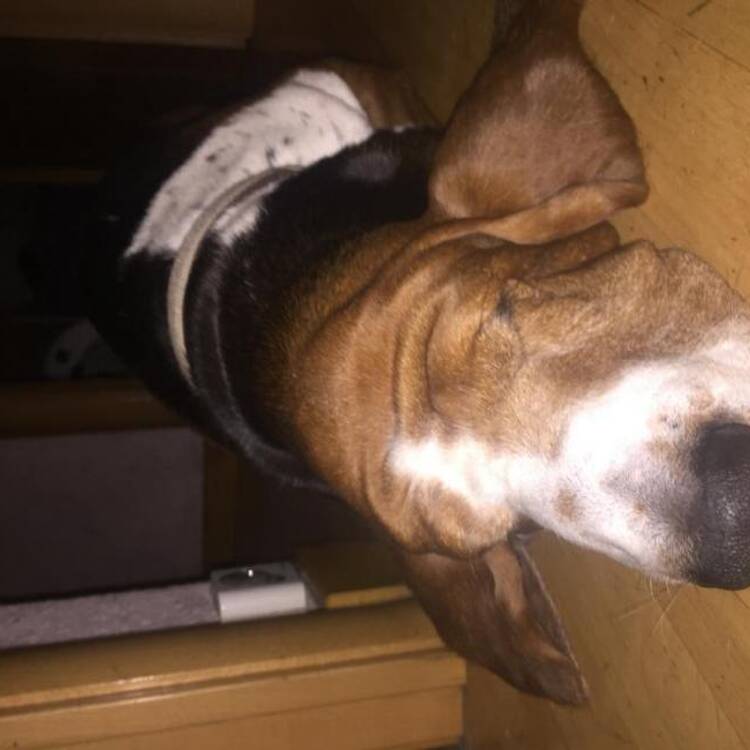 Foto de perfil de Archy