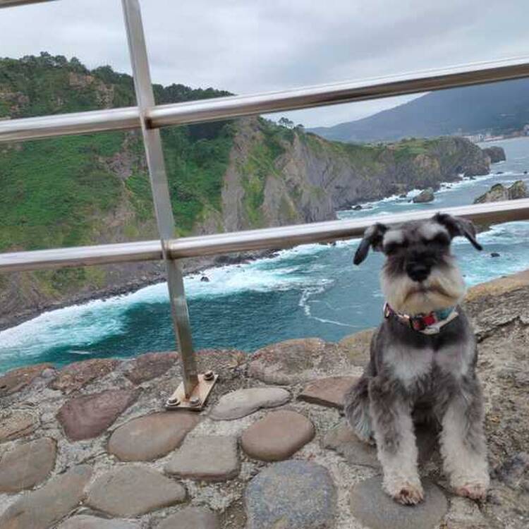 Foto de perfil de Ana
