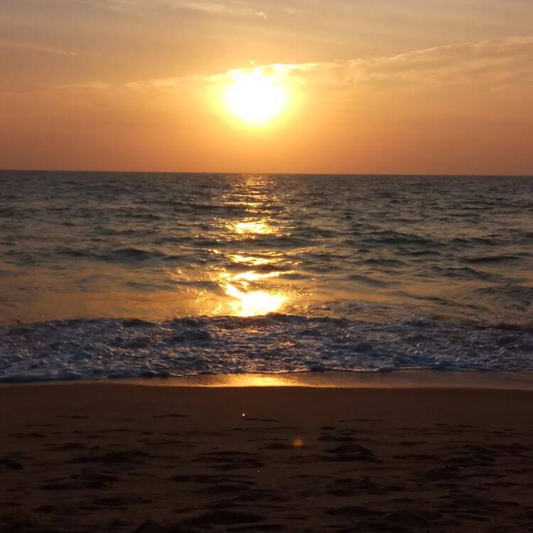 Foto de perfil de n