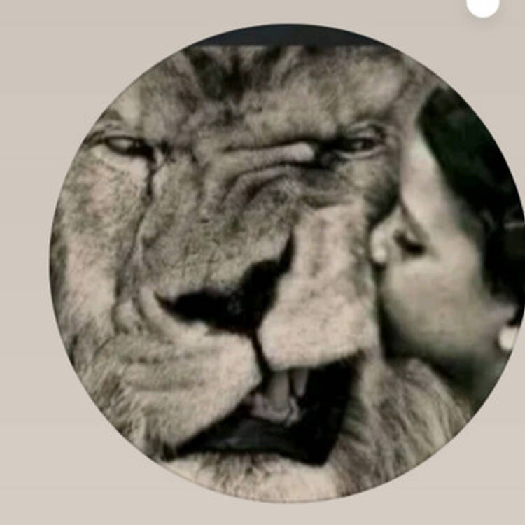 Foto de perfil