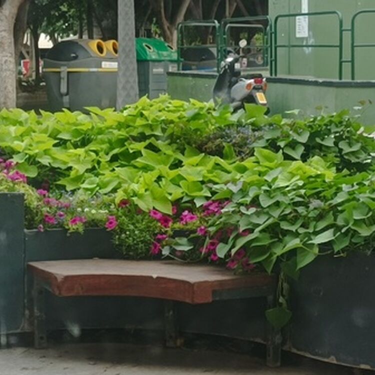 Foto de perfil de Nekk