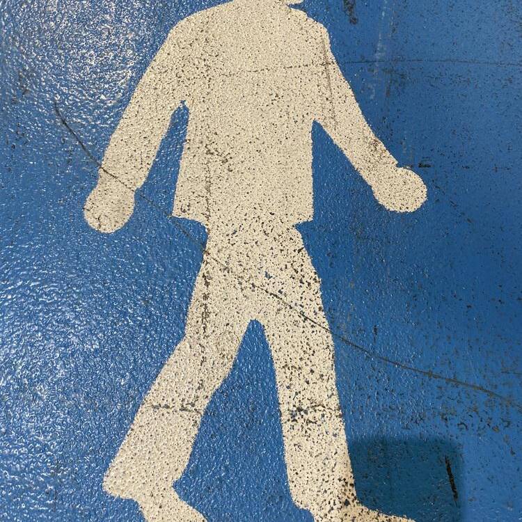 Foto de perfil de Miguel