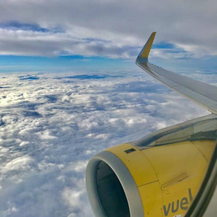 Foto de perfil de Liz