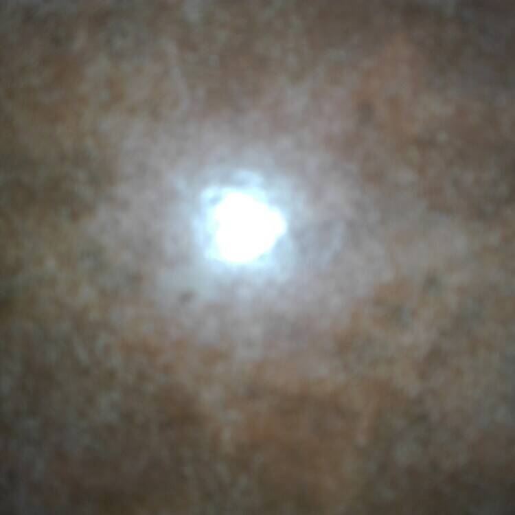 Foto de perfil de Rafel