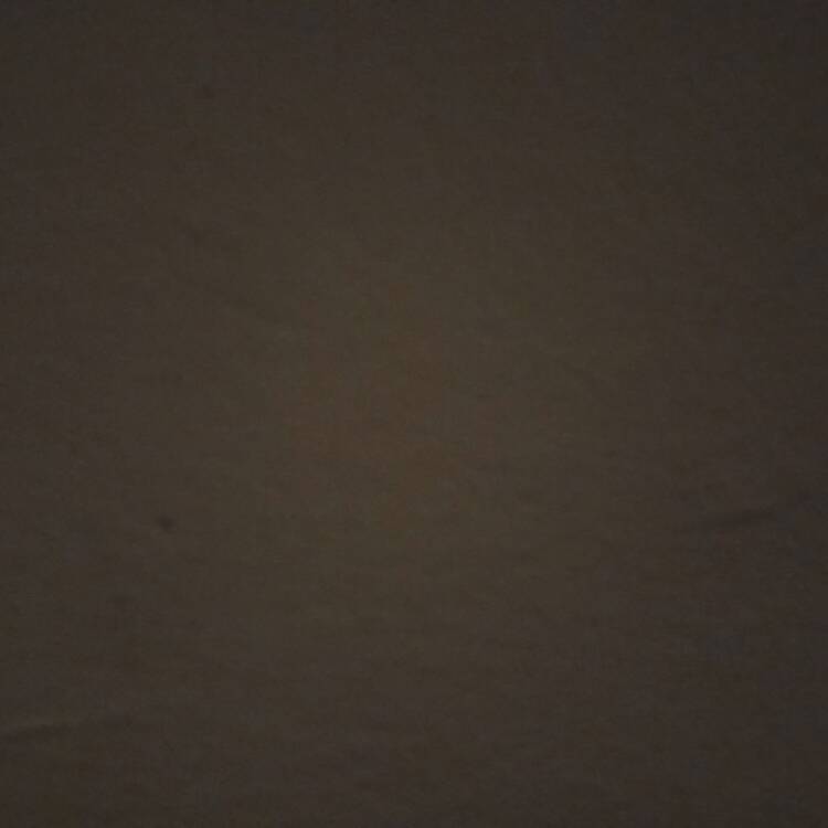 Foto de perfil de Dani