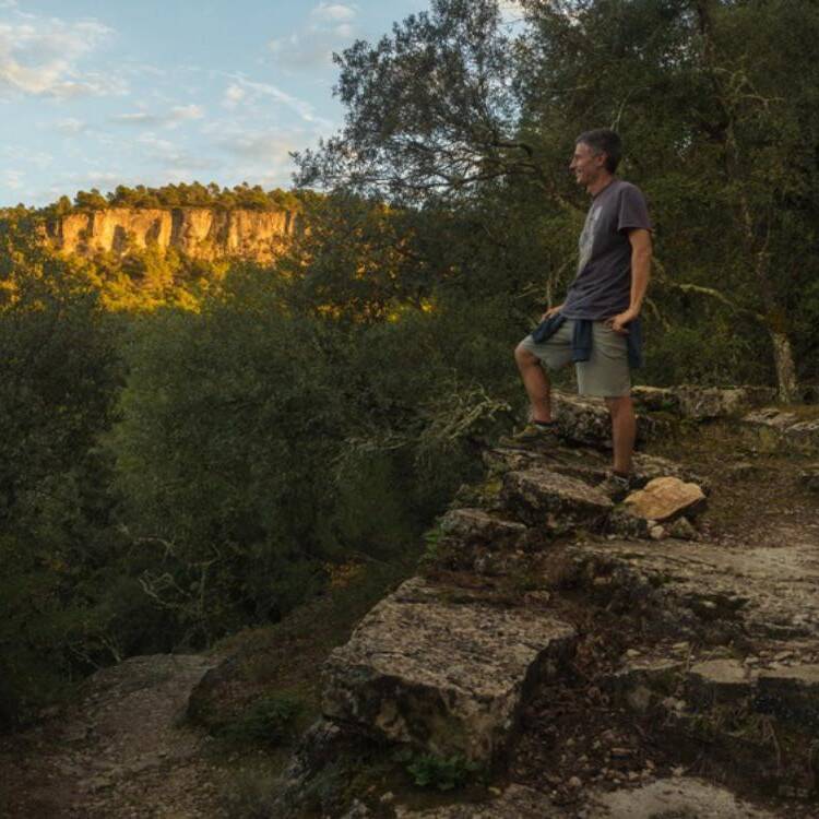 Foto de perfil de David