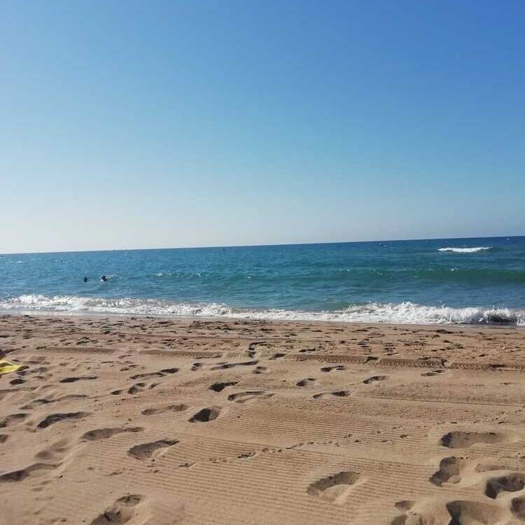 Foto de perfil de Toni_soy