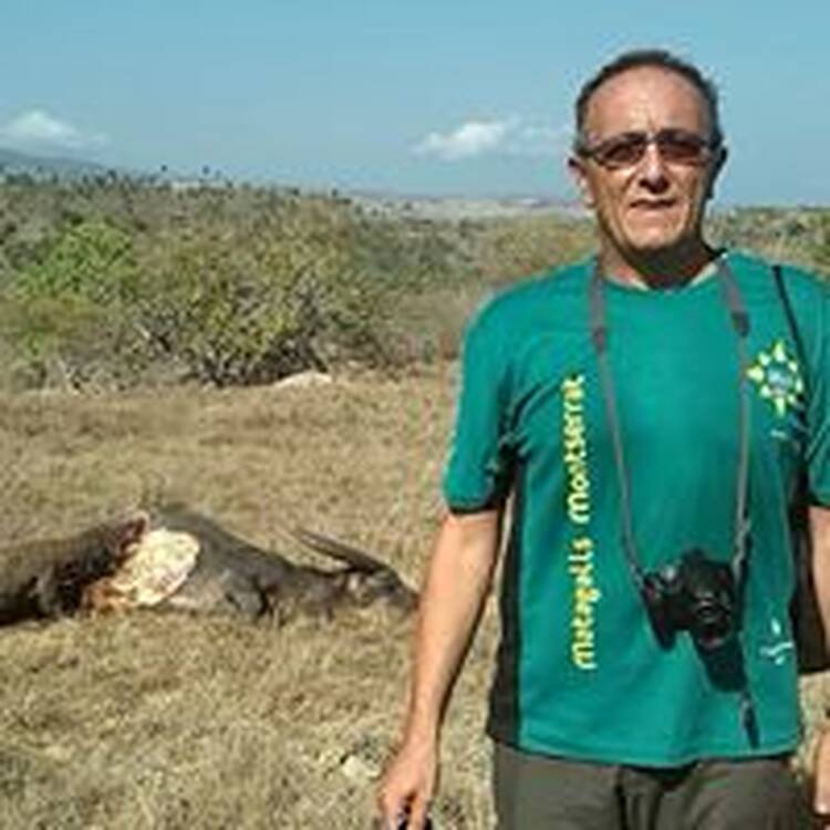Foto de perfil de Eduardo Vidal Ribas