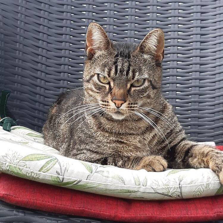 Foto de perfil de Elena