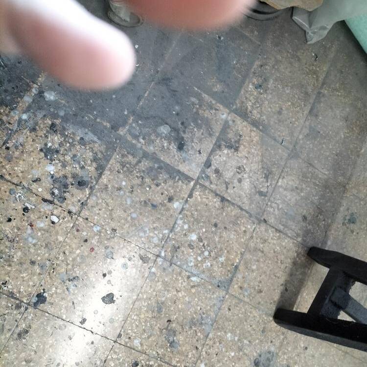 Foto de perfil de Fran