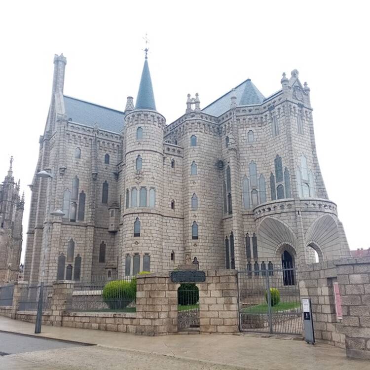 Foto de perfil de laia