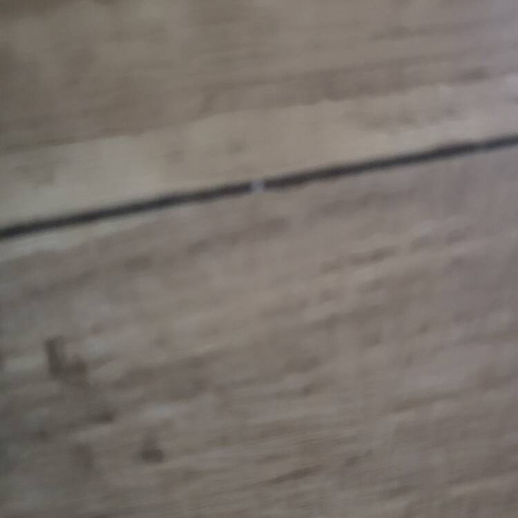 Foto de perfil de Javi