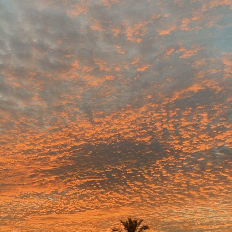 Foto de perfil de Miren