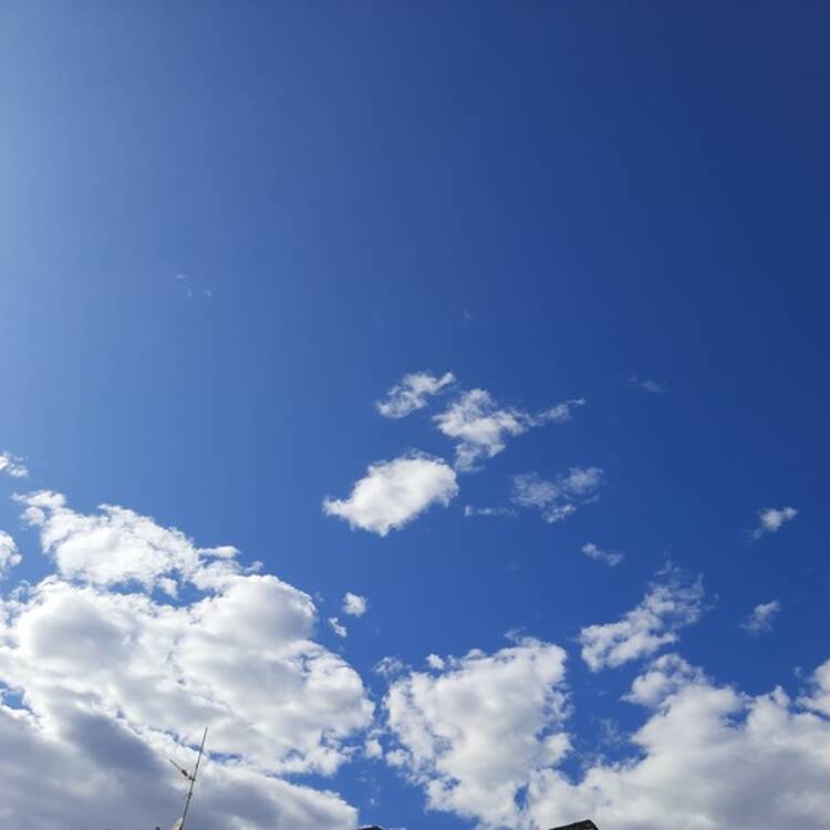 Foto de perfil de Vanesa